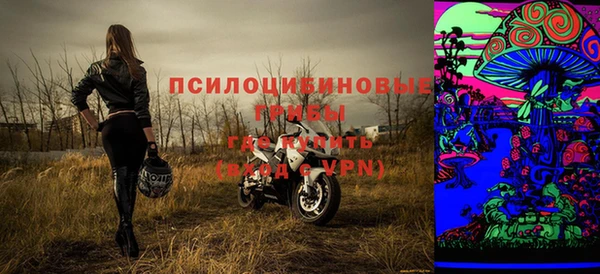 гашик Бронницы