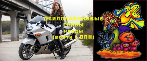 ПСИЛОЦИБИНОВЫЕ ГРИБЫ Бугульма