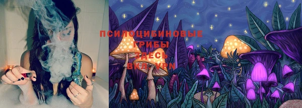 ПСИЛОЦИБИНОВЫЕ ГРИБЫ Бугульма